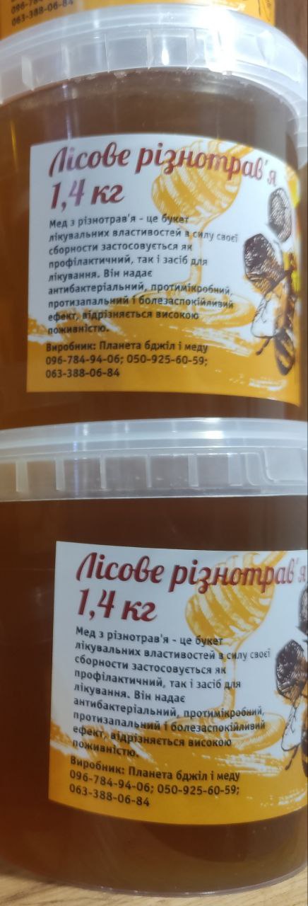 Мед з лісного різнотрав'я