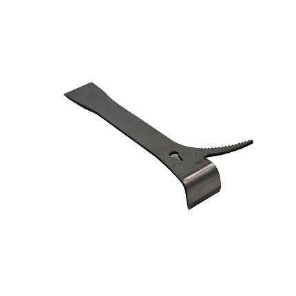 Стамеска пасічна, (Канадка) зображення