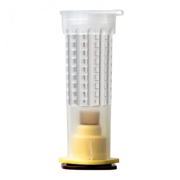 Набір для виводу маток Нікот (бігудь + тримач + цоколь + мисочка), Франція зображення